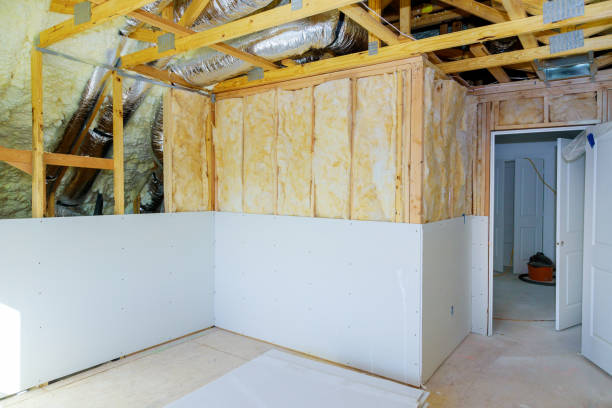Best Insulation Maintenance and Repair in Bastrop, TX