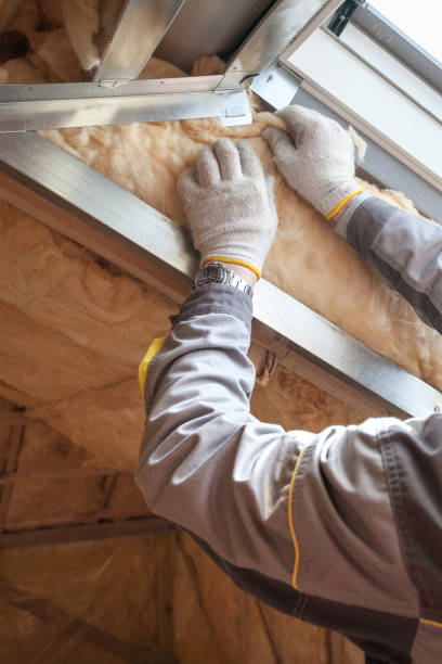 Best Geographic-Specific Insulation Services in Bastrop, TX