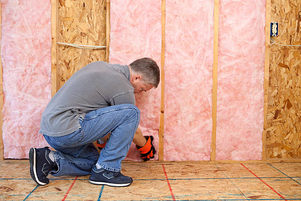 Best Spray Foam Insulation in Bastrop, TX